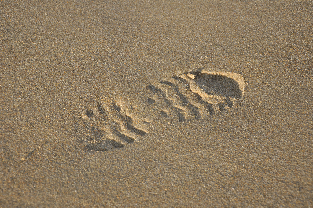 Orientation professionnelle — quiz pour trouver son alternance